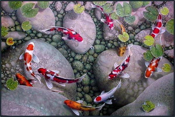 фен шуй девять карпов - картина, картины - оригинал