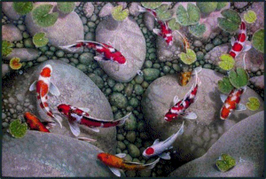 фен шуй девять карпов - картина, картины - предпросмотр