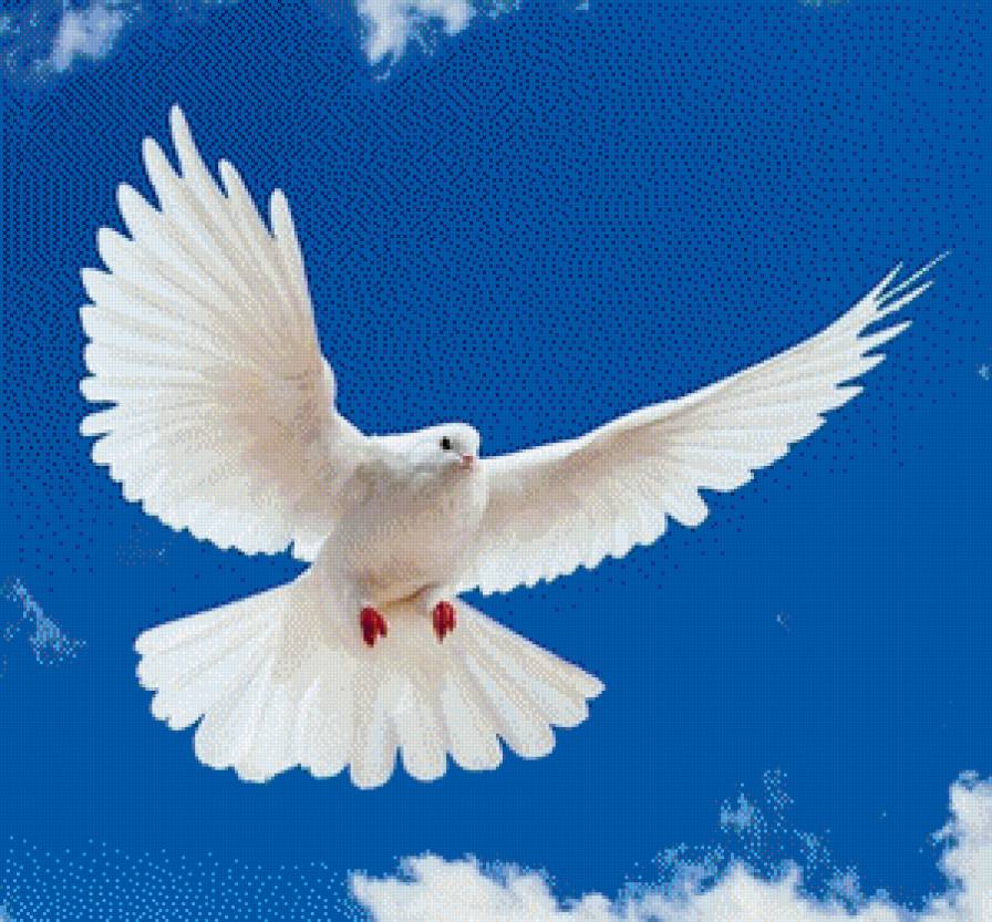 Летящий голубь - предпросмотр