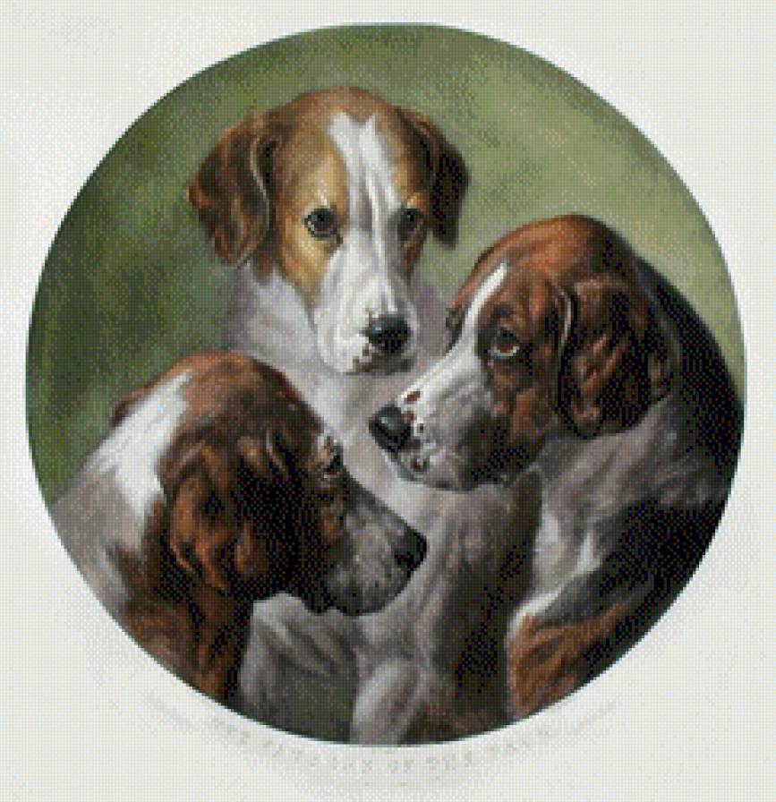 Салфетка - предпросмотр