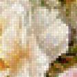 Предпросмотр схемы вышивки «Цветы» (№520521)