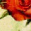 Предпросмотр схемы вышивки «цвети» (№520686)