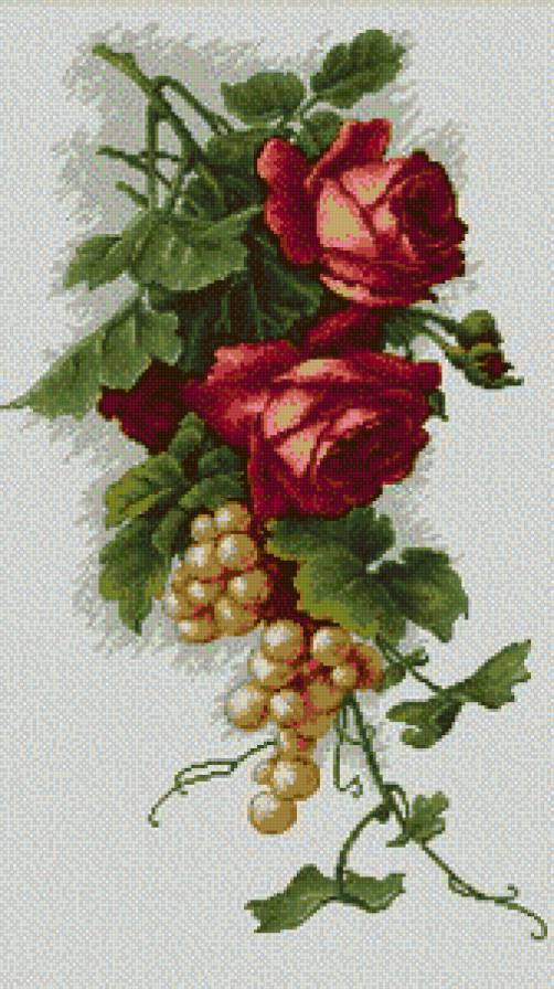 цвети - предпросмотр