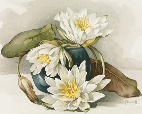 цвети - оригинал