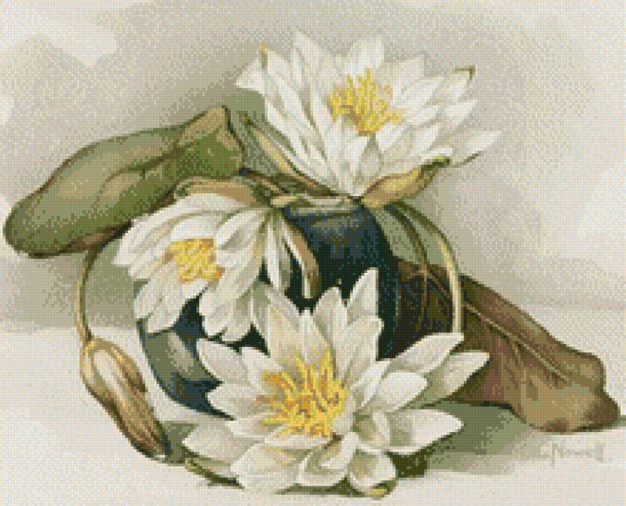 цвети - предпросмотр