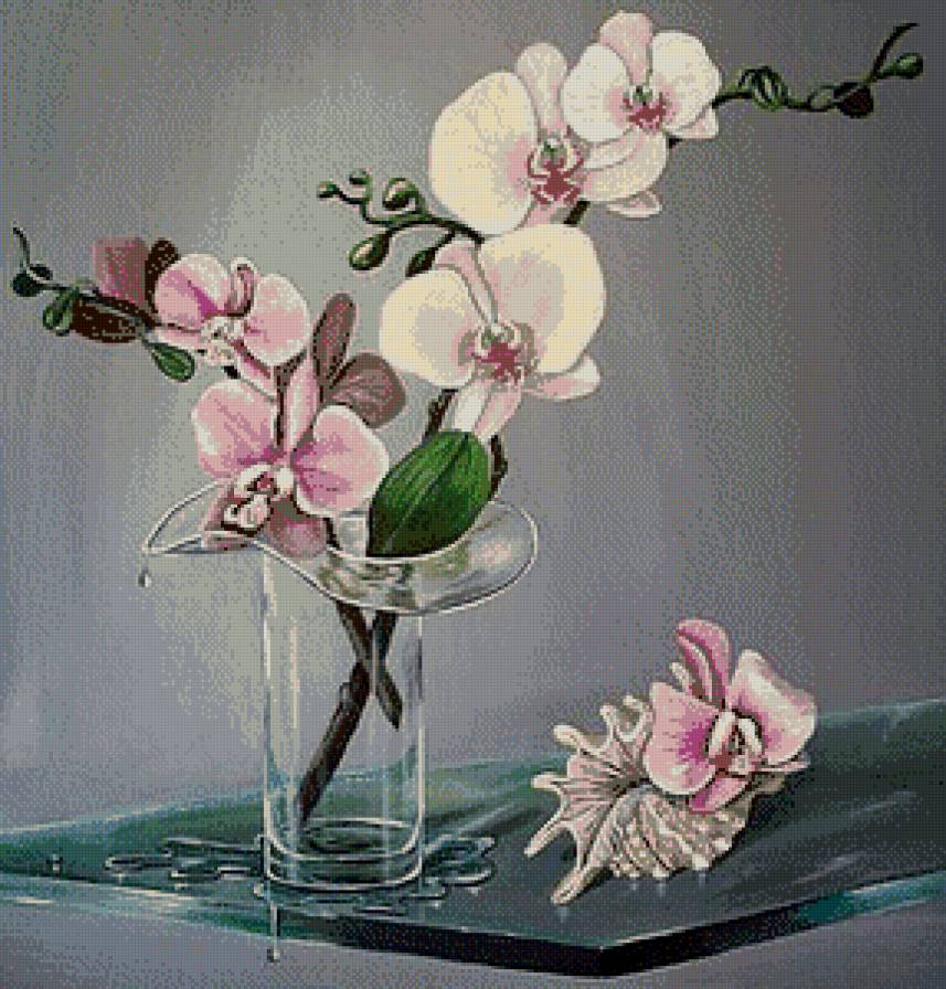 цвети - предпросмотр