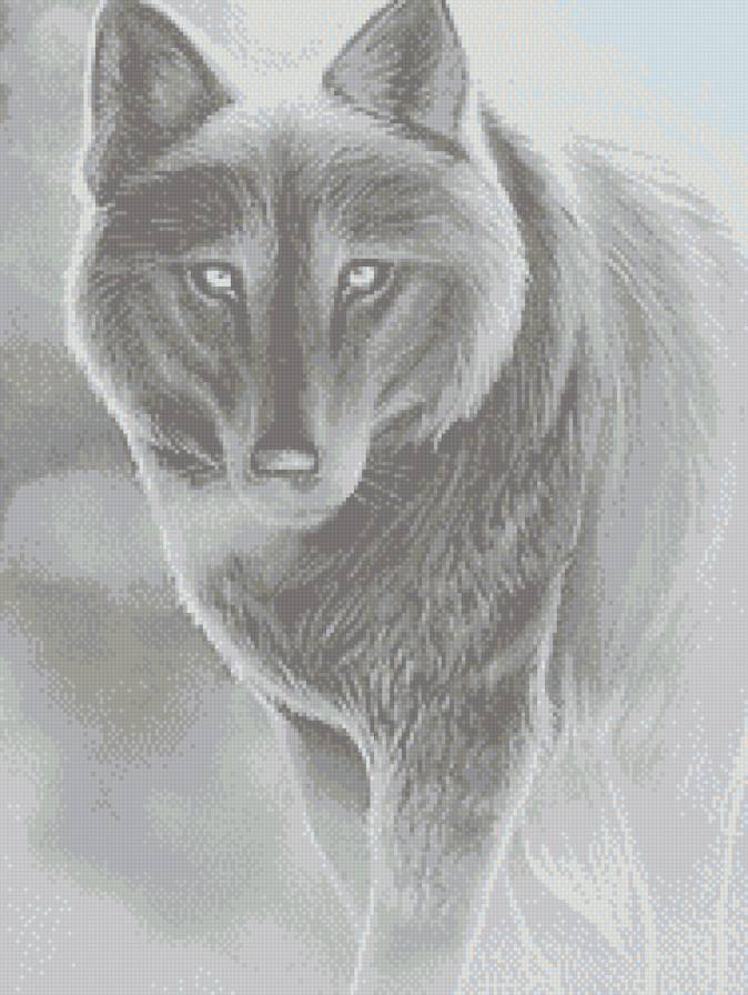Волк - монохром, волки, животные - предпросмотр