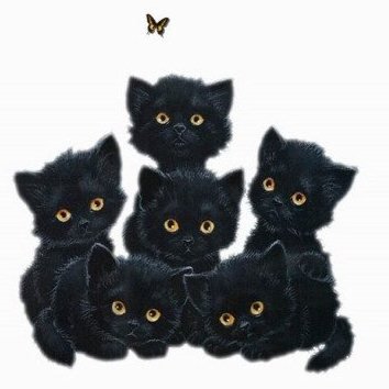 Черныши - кошки - оригинал