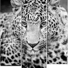 Оригинал схемы вышивки «Леопард (триптих)» (№520909)