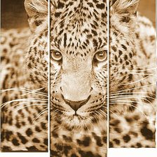 Леопард (триптих)