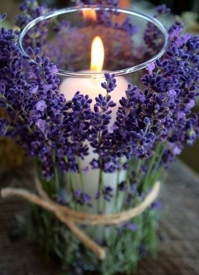 лаванда - оригинал