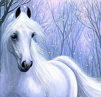 Белый конь - лошади, животные - оригинал