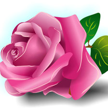 Схема вышивки «Роза»