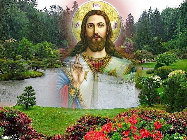 №521246 - оригинал