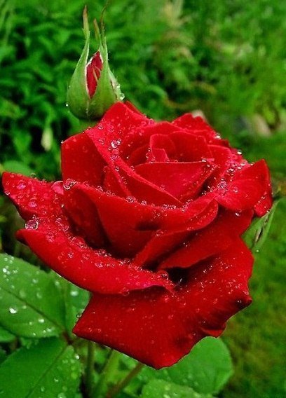 №521271 - оригинал