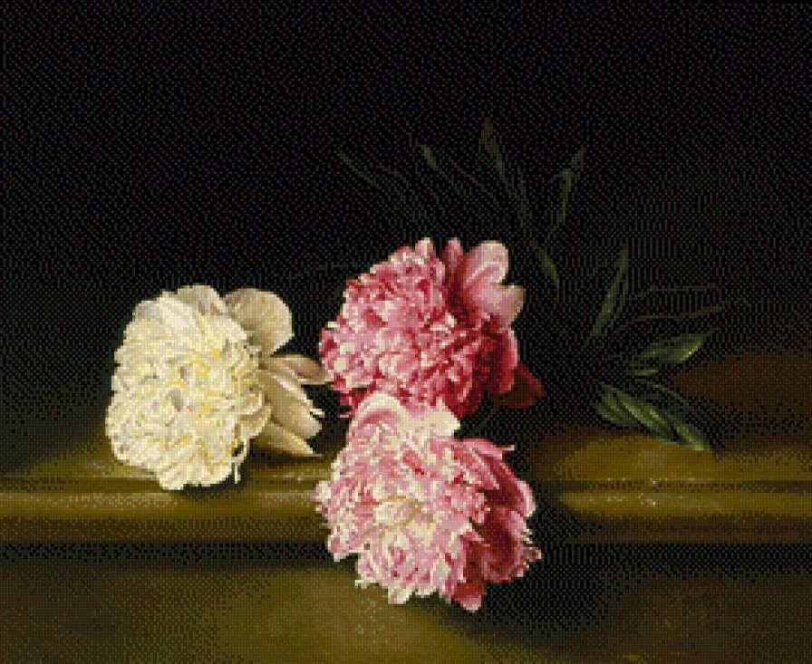 Piony-Jose Ascofet - cwety, ziwopis - предпросмотр