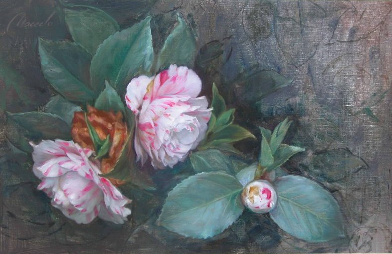 Piony-Antonio Macedo - cwety, ziwopis - оригинал