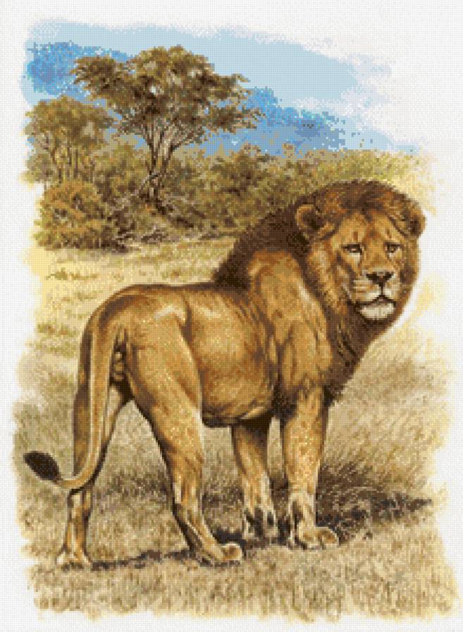 "Семейство кошачьих" - большие кошки, лев - предпросмотр