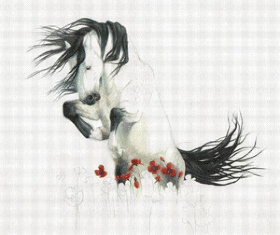 лошадь в маках - маки, лошади - предпросмотр