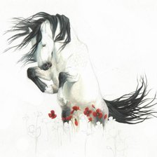 Схема вышивки «лошадь в маках»