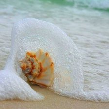 Схема вышивки «№521524»