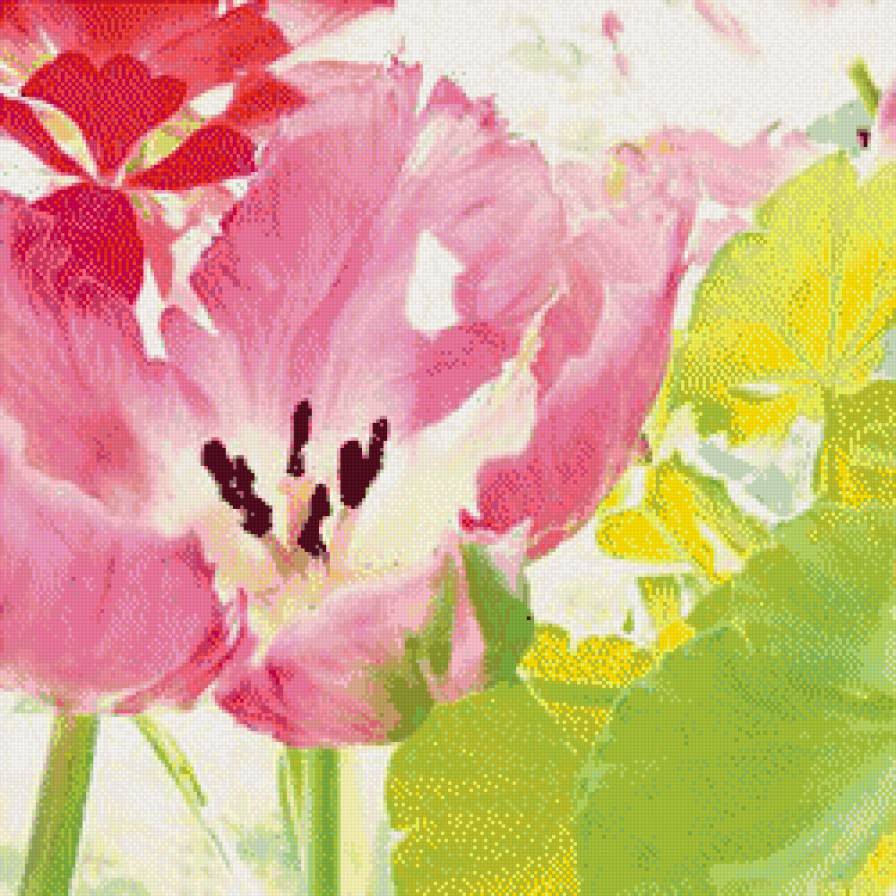 CVETY - предпросмотр