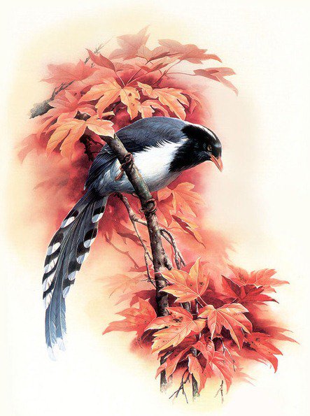 Птичка - птицы - оригинал