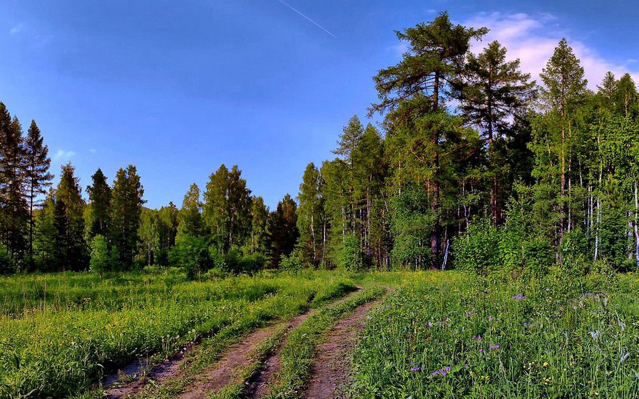 Природа - оригинал