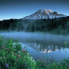 Схема вышивки «Природа»