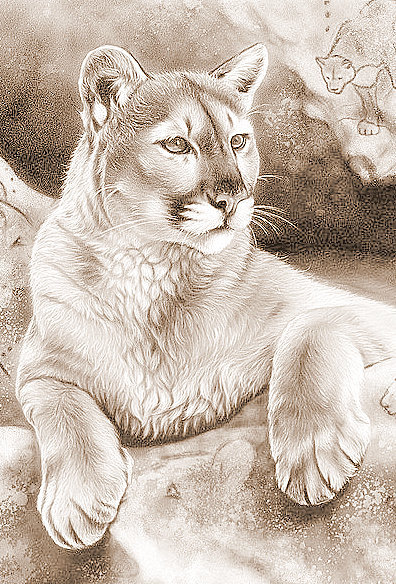 Пума - большие кошки, монохром, животные, сепия - оригинал