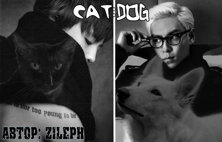 Cat:Dog - bigbang, t.o.p, gd, k-pop - оригинал