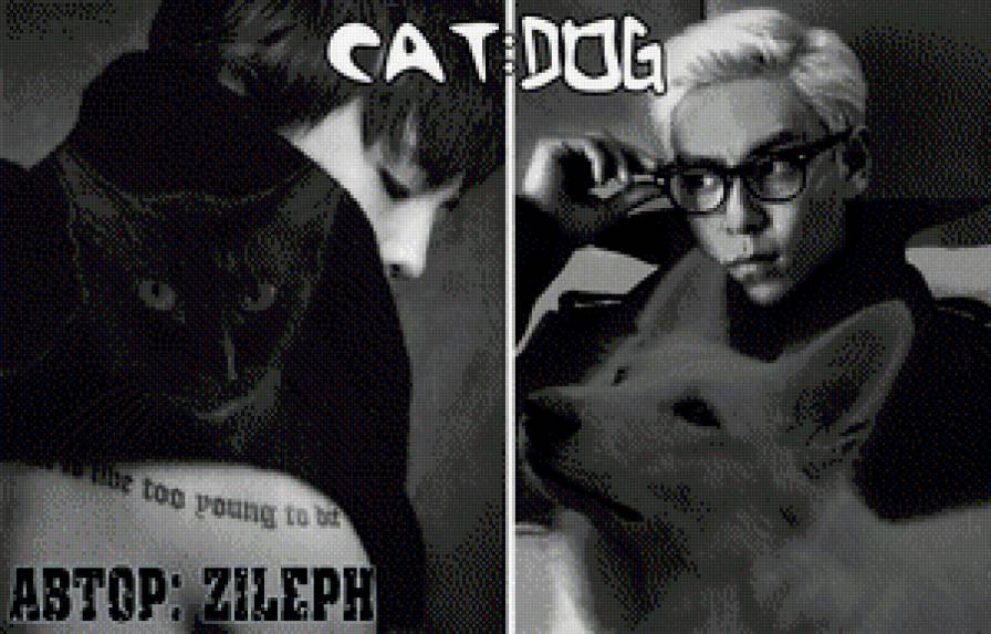 Cat:Dog - k-pop, bigbang, t.o.p, gd - предпросмотр