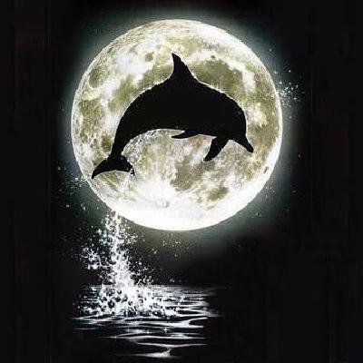 делфин монохром - луна, дельфины, чорнобелое, монохром, море - оригинал