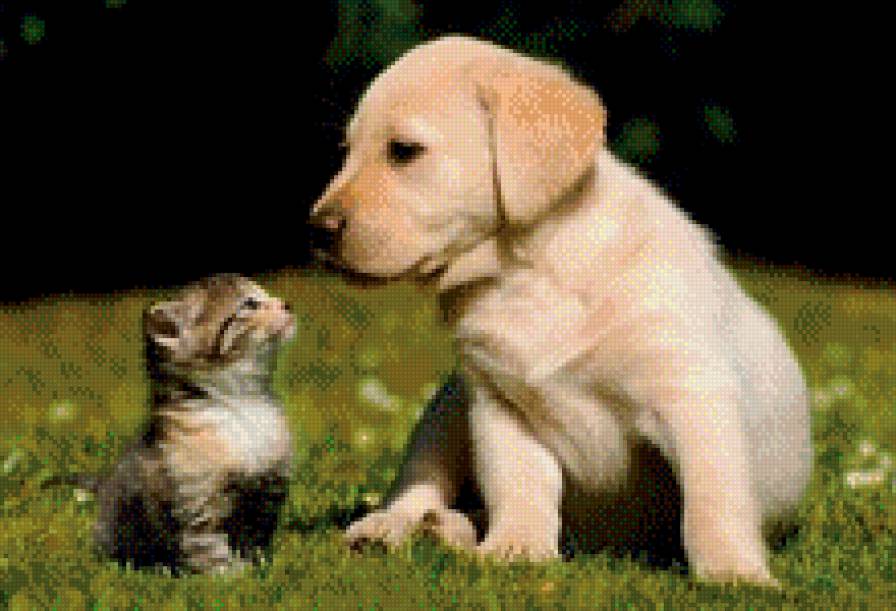 Друзья-малыши - животные, хищники, природа, собака, кошка - предпросмотр