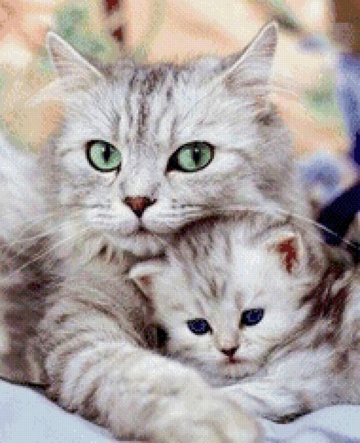 Мать и дитя - животные, хищники, природа, кошка - предпросмотр