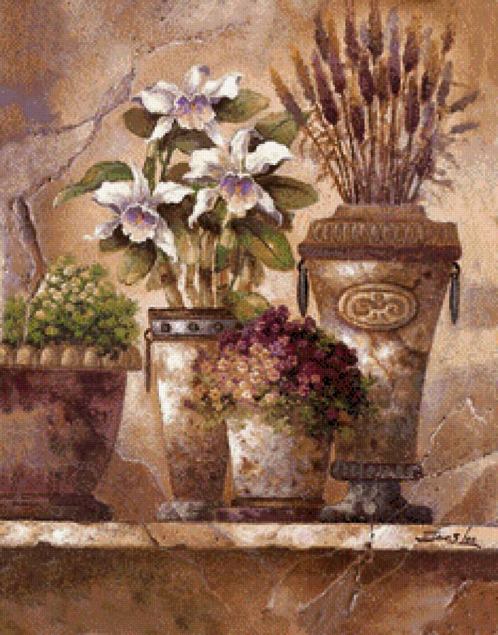 Натюрморт с орхидеями - орхидеи, цветы, натюрморты - предпросмотр