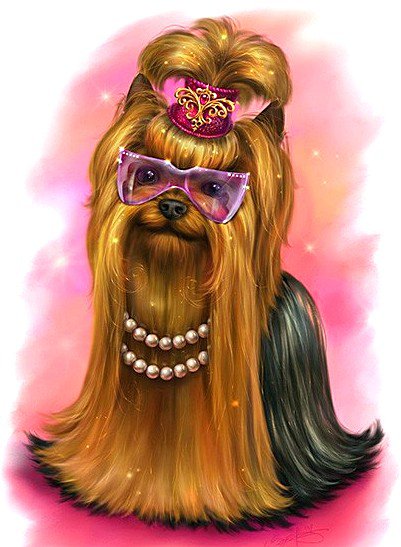 Модная "штучка" - модница, собаки, животные, мода - оригинал