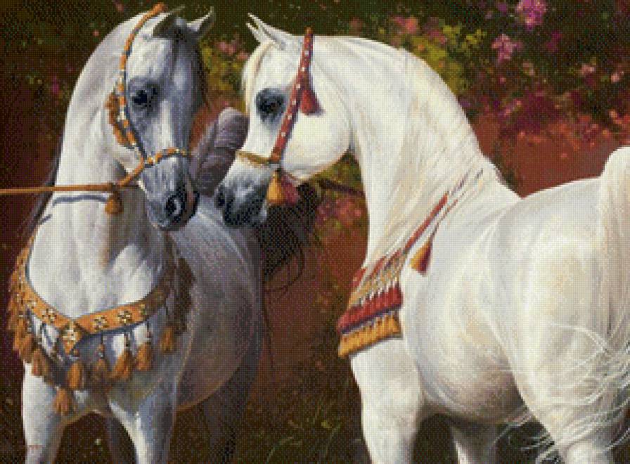 красавицы лошадки - природа, животные, лошадь, конь - предпросмотр