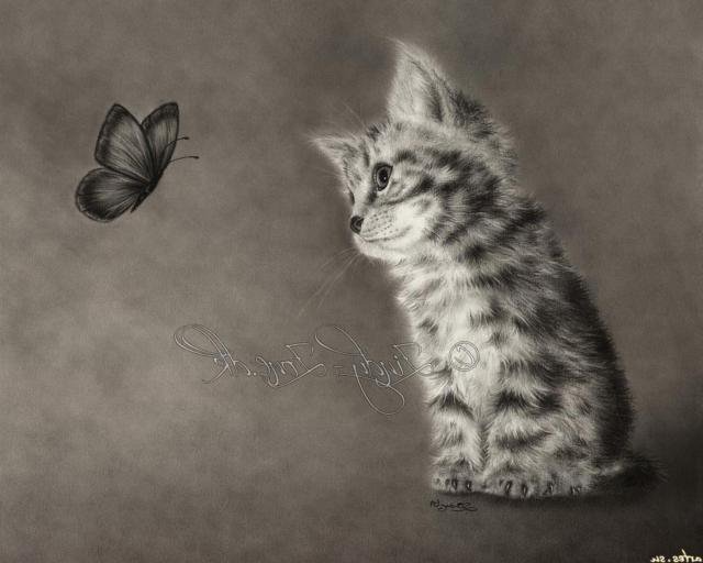 котенок и бабочка 2 монохром - чорнобелое, котенок, бабочкамонохром - оригинал