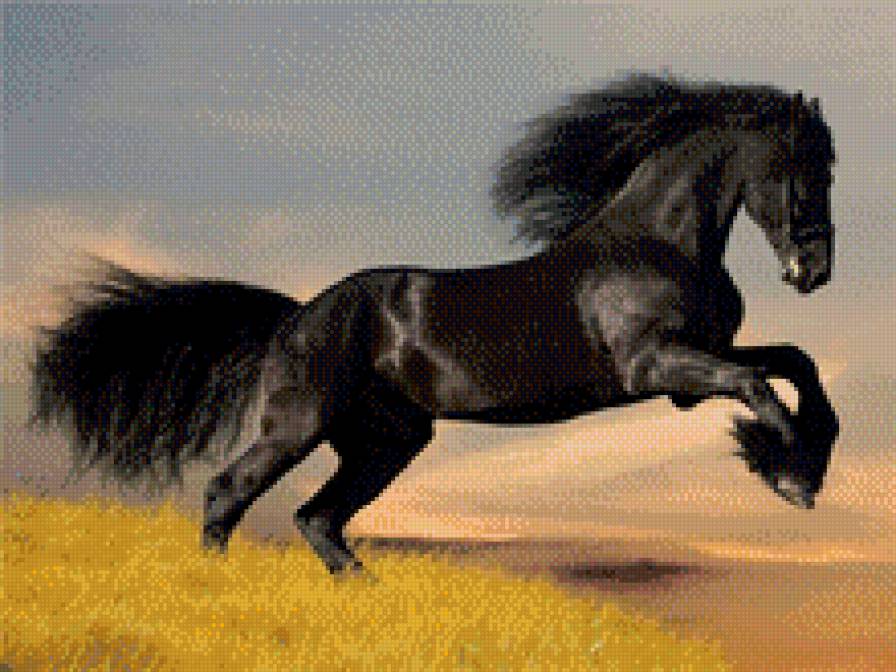 Конь - лошадь, лошадки, свобода - предпросмотр