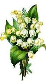 ландыши - оригинал