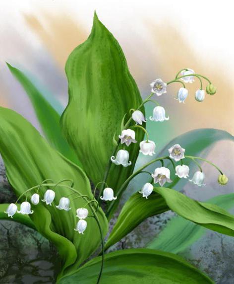 ландыши - оригинал