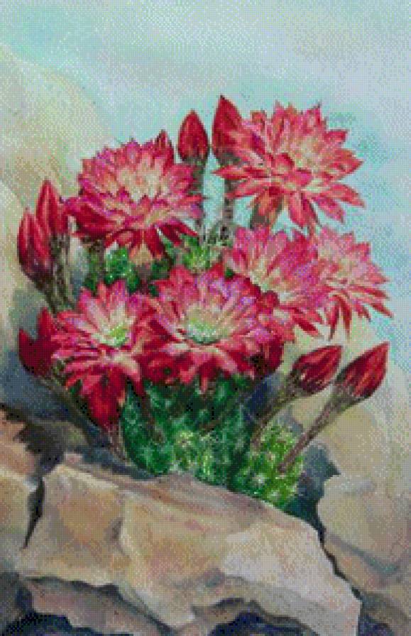 кактус - предпросмотр