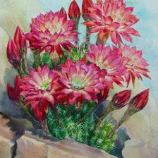 Схема вышивки «кактус»