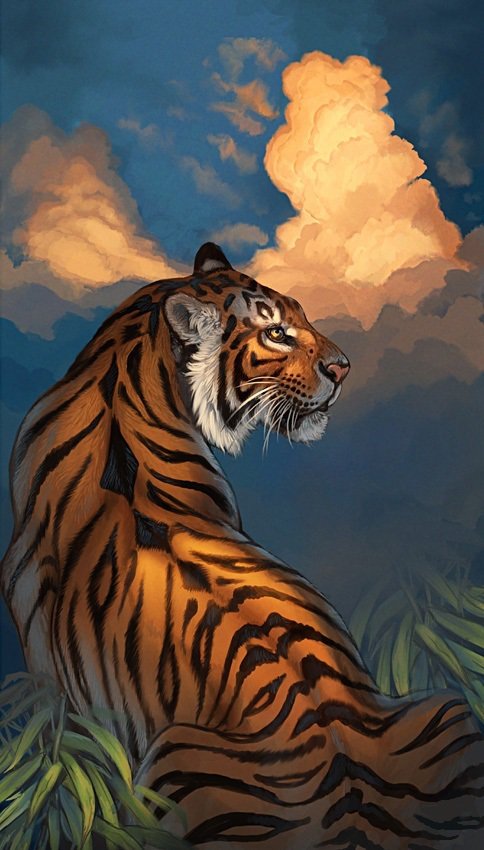 Тигр - тигр - оригинал