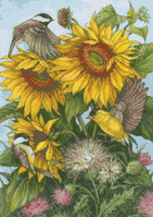 птицы в подсолнухах - цветы, птицы, подсолнух - предпросмотр