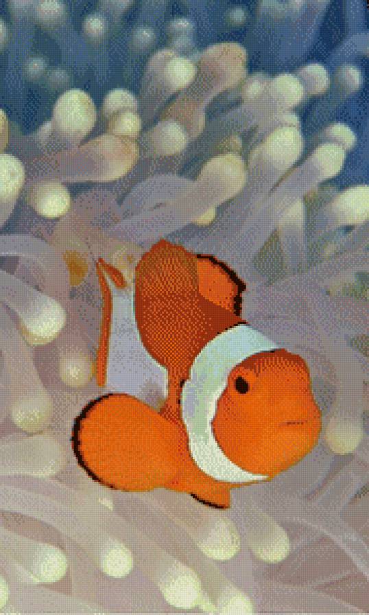 №522443 - предпросмотр