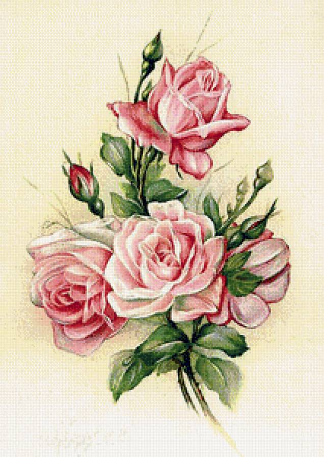 роза - розовые, цветы, розы - предпросмотр