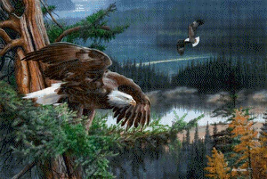 Над пропастью - горы, птицы, пейзаж, орлы - предпросмотр