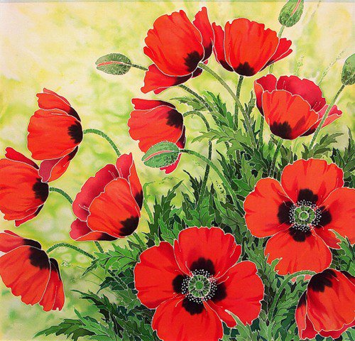 маки - маки, цветы - оригинал